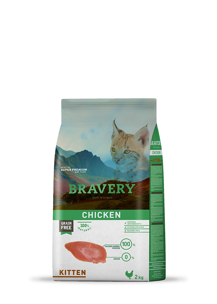 rw_bravery_cat_kitten_chicken