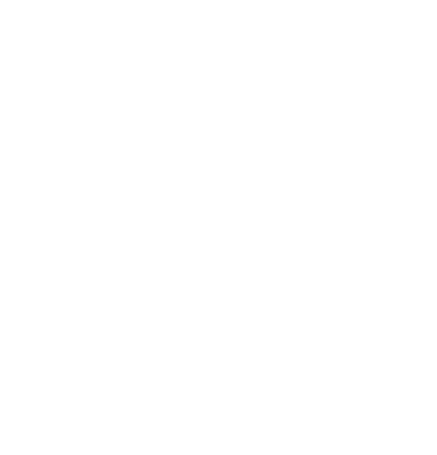 Alinatur Logo